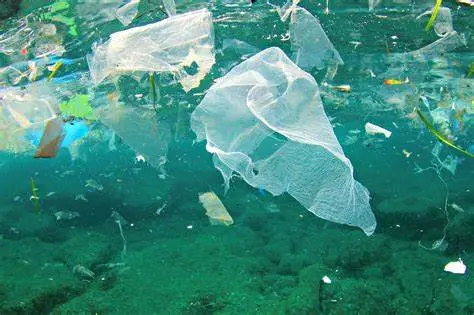 Plastik Merusak Bumi: Mengungkap Ancaman Lingkungan dan Pentingnya Perubahan