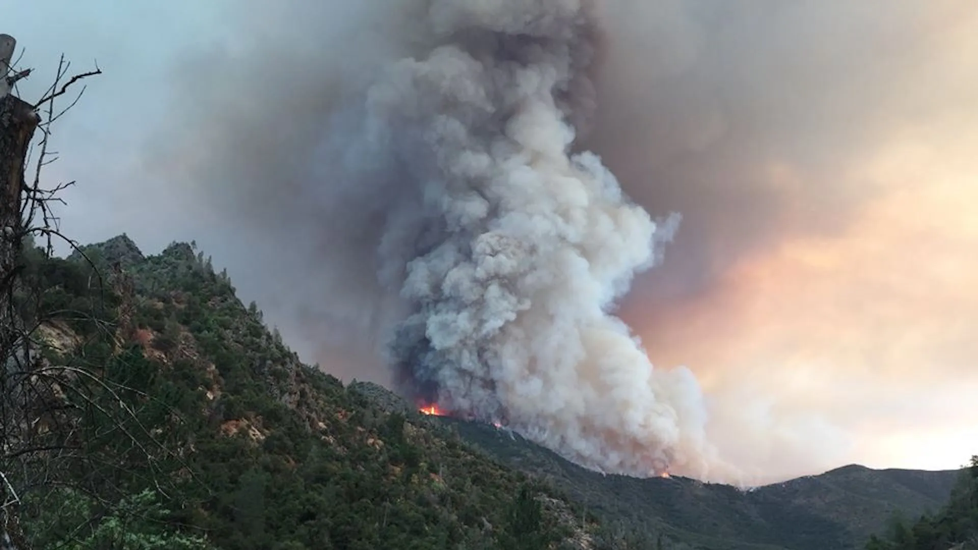 Dampak Kebakaran Hutan Terhadap Polusi Udara